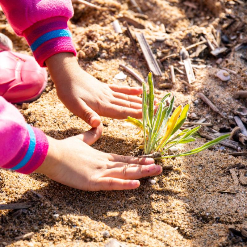 <span class=